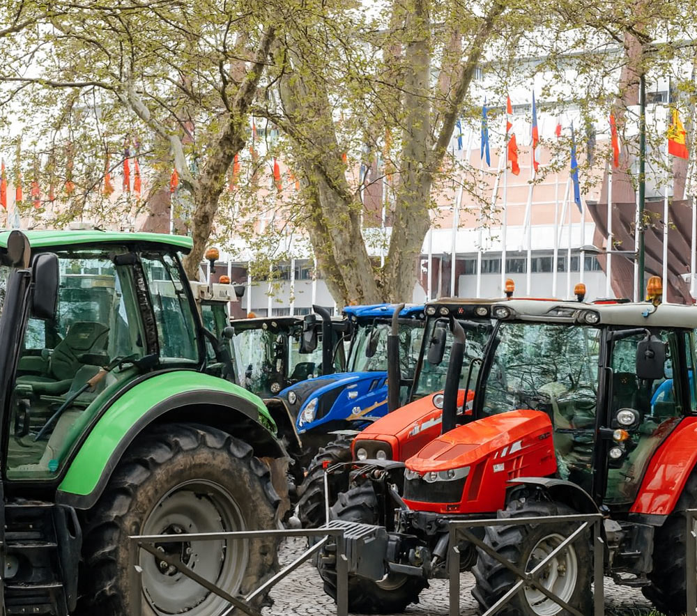 trattori_bruxelles_adobestock_553700879
