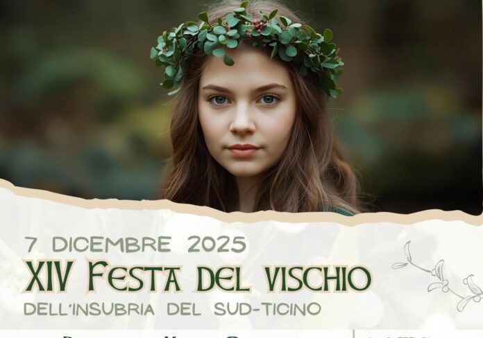 visch9o-aspect-ratio-535-375