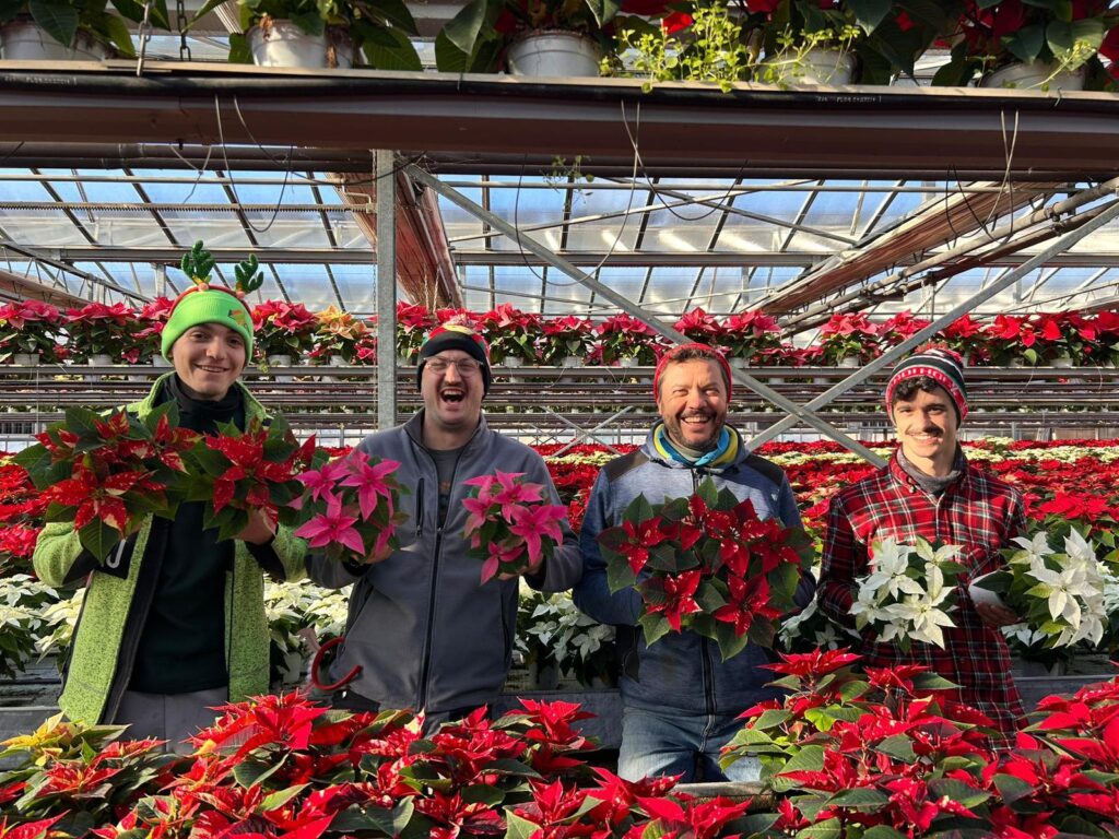 Il conto alla rovescia è iniziato: da Zanzottera la magia del Natale