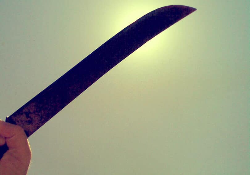 Spacciatori nordafricani armati di machete arrestati nel Parco delle Groane