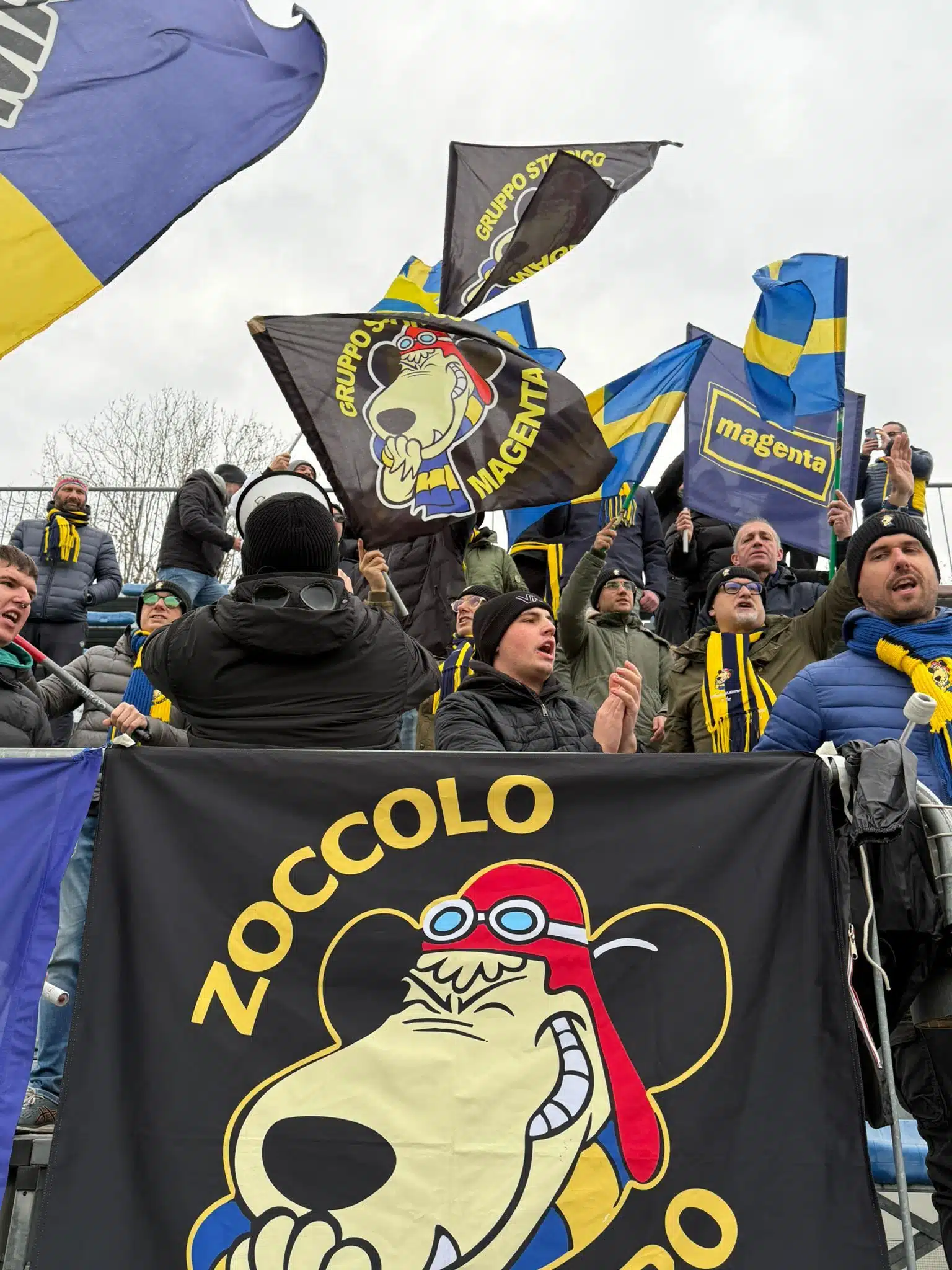 69047b74-67b1-4a33-ab16-1291ac1d3903