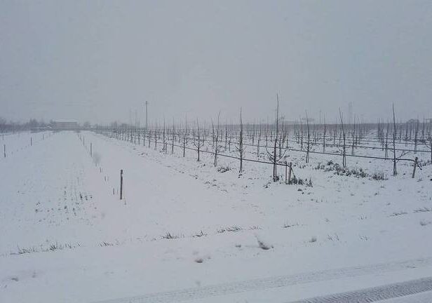 NEVE-CAMPAGNA-aspect-ratio-535-375