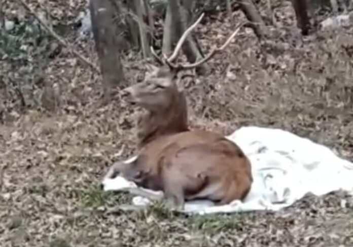 erv-aspect-ratio-535-375