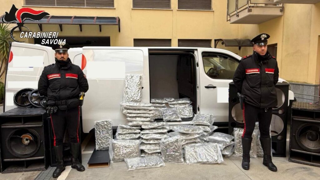 Savona: sequestrati 66 kg di marijuana nascosti in casse acustiche