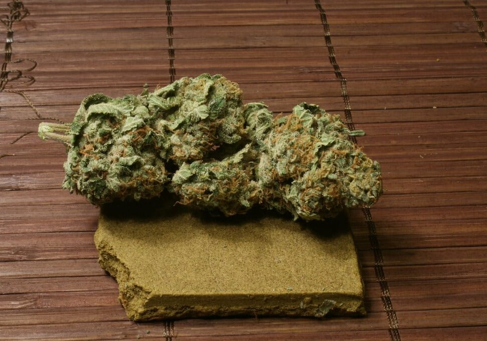 Hashish e marijuana in casa, 67enne arrestata alla periferia di Milano