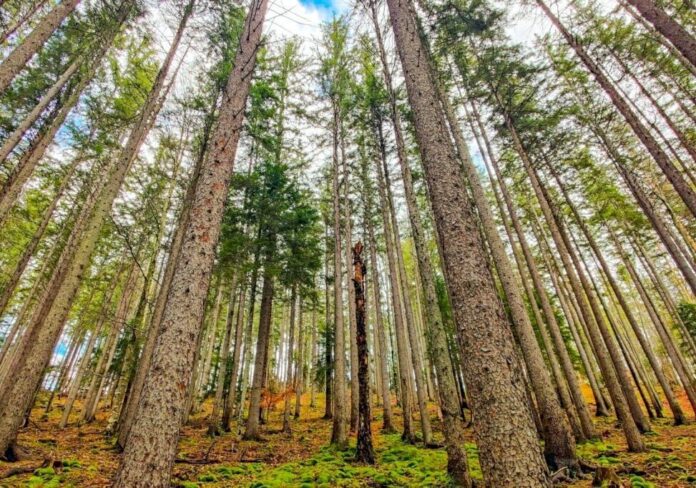 141342-aspect-ratio-535-375