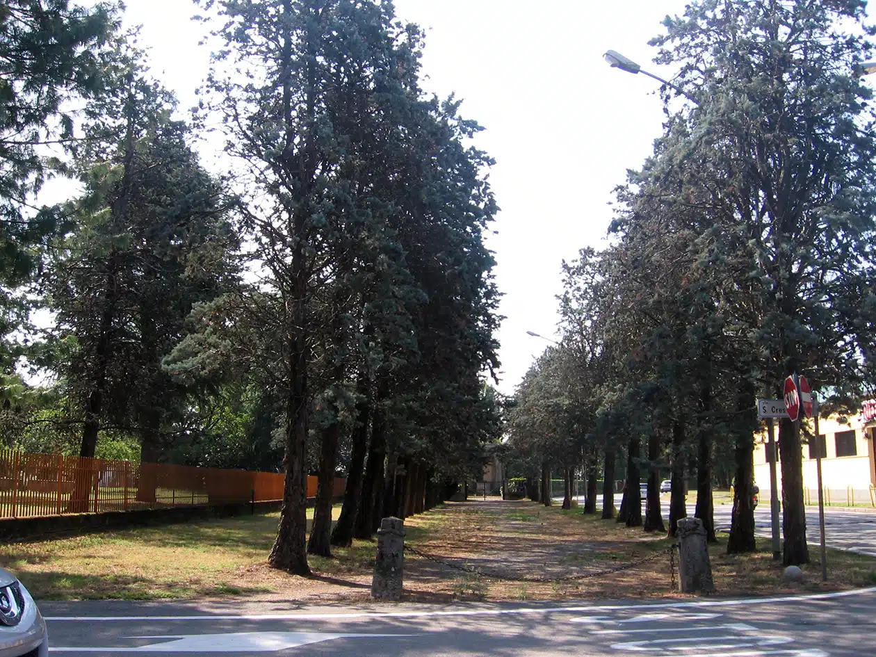 ICCD14200254_MI_Magenta_2