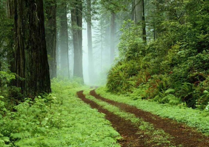 cc6139de-128f-4092-9c61-9dd64a30afc0-aspect-ratio-535-375