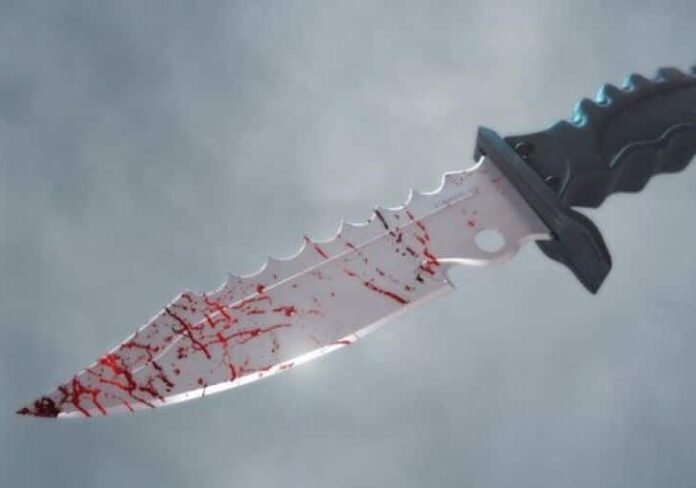 coltello-aspect-ratio-535-375