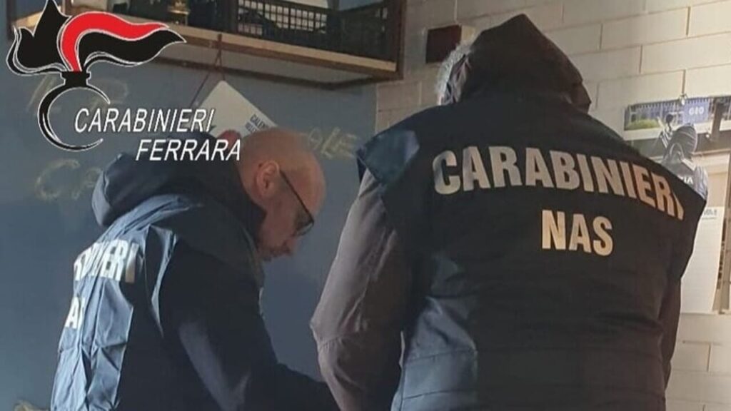Operazione “Alto Impatto” e controlli sui locali in Oltrepò: lavoratori irregolari, carenze igieniche e sicurezza ignorata