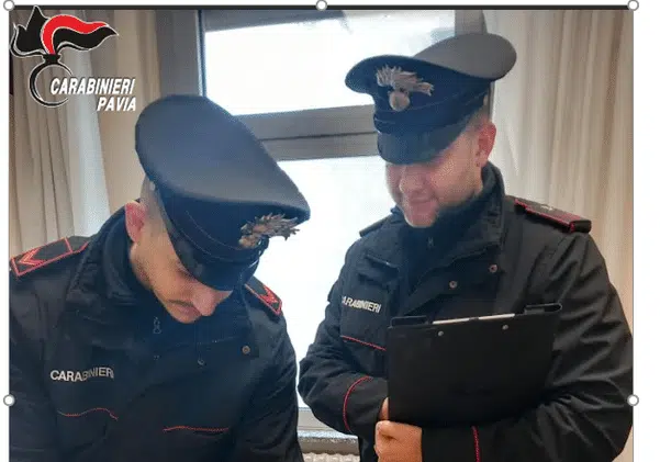 lama-aspect-ratio-535-375