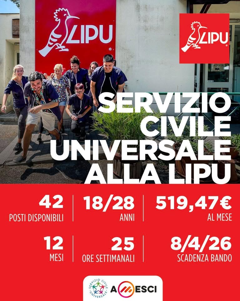 Servizio civile alla Lipu, 4 posti disponibili al Centro Recupero Fauna Selvatica Lipu La Fagiana