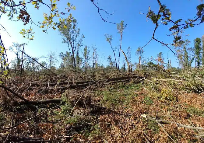 nubifragi-Ticino_ape-770x470-1-aspect-ratio-535-375