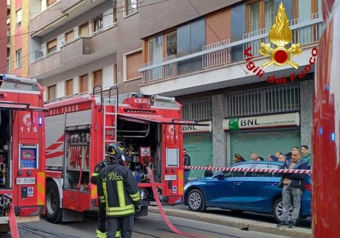 pala-aspect-ratio-535-375