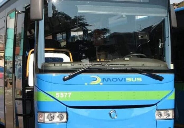 pullman-movibus-2-aspect-ratio-535-375