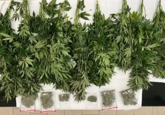 serr-aspect-ratio-535-375