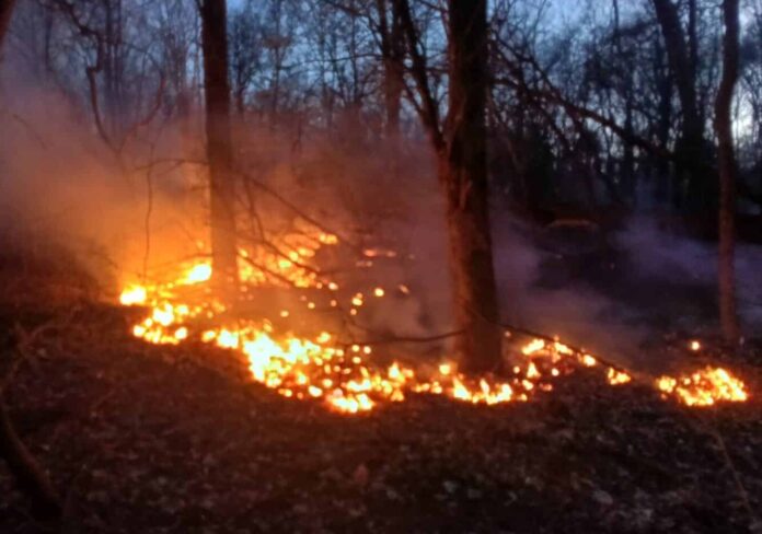 too-aspect-ratio-535-375