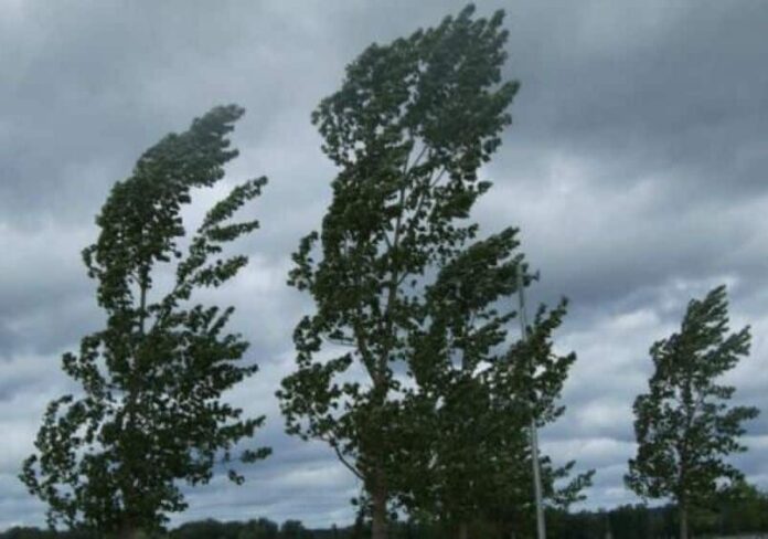 vento-aspect-ratio-535-375