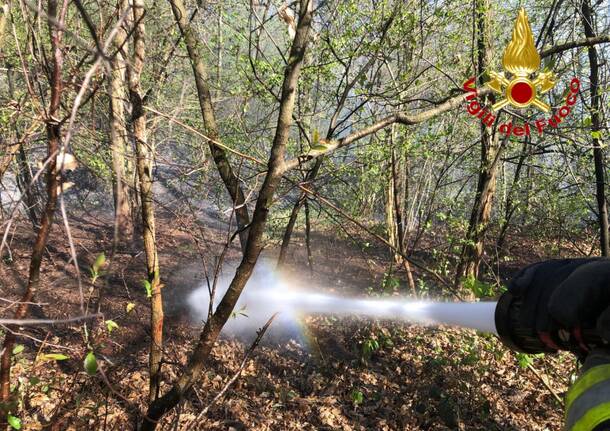 Volontari del Parco Ticino e VVFF in azione: cinque ettari di bosco in fumo tra Vergiate e Corgeno