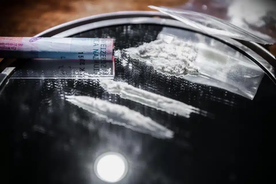 51687d5d-1e93-426d-a07d-43e830da1c84