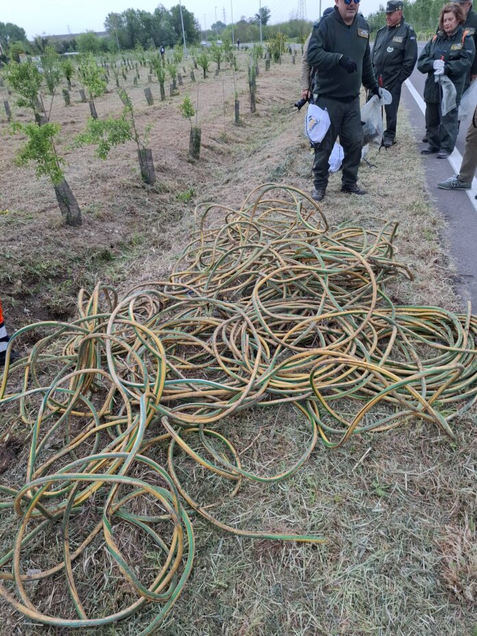 670871635_1390135773138330_5827564361448419464_n