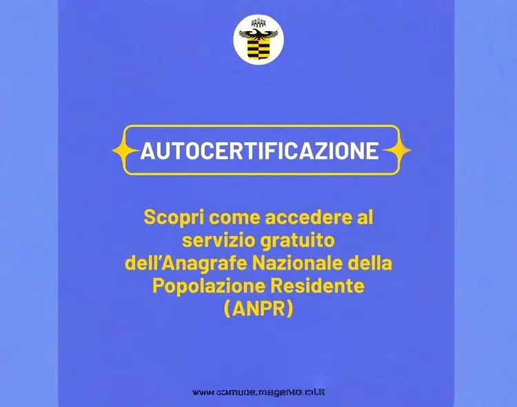 671045053_1376677991161340_5272118905954685753_n