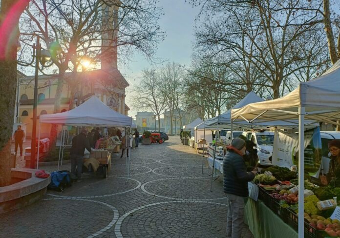 CANTALUPO-aspect-ratio-535-375