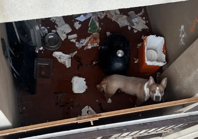 Testo-del-paragrafo-2026-04-02T100910.597-aspect-ratio-535-375