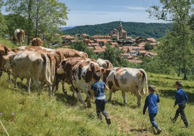 Transumanti-1-aspect-ratio-535-375