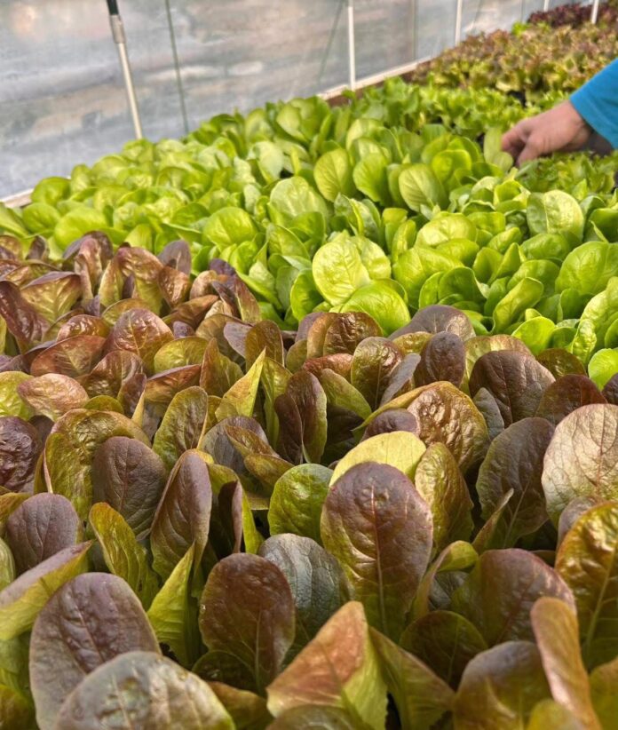 WhatsApp Image 2026-04-03 at 06.56.56 (1)