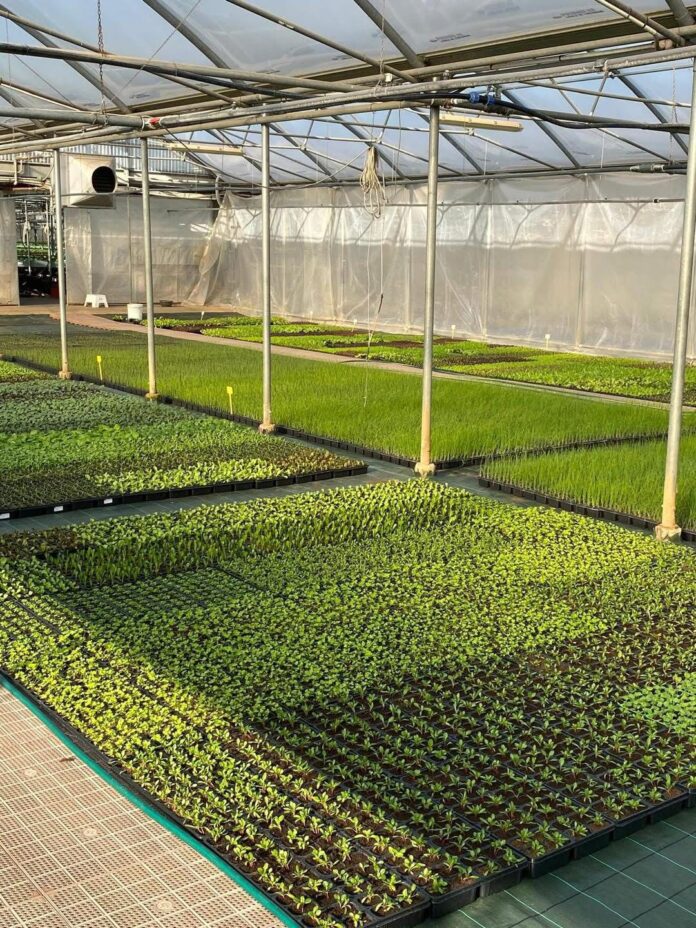 WhatsApp Image 2026-04-03 at 06.56.56 (3)