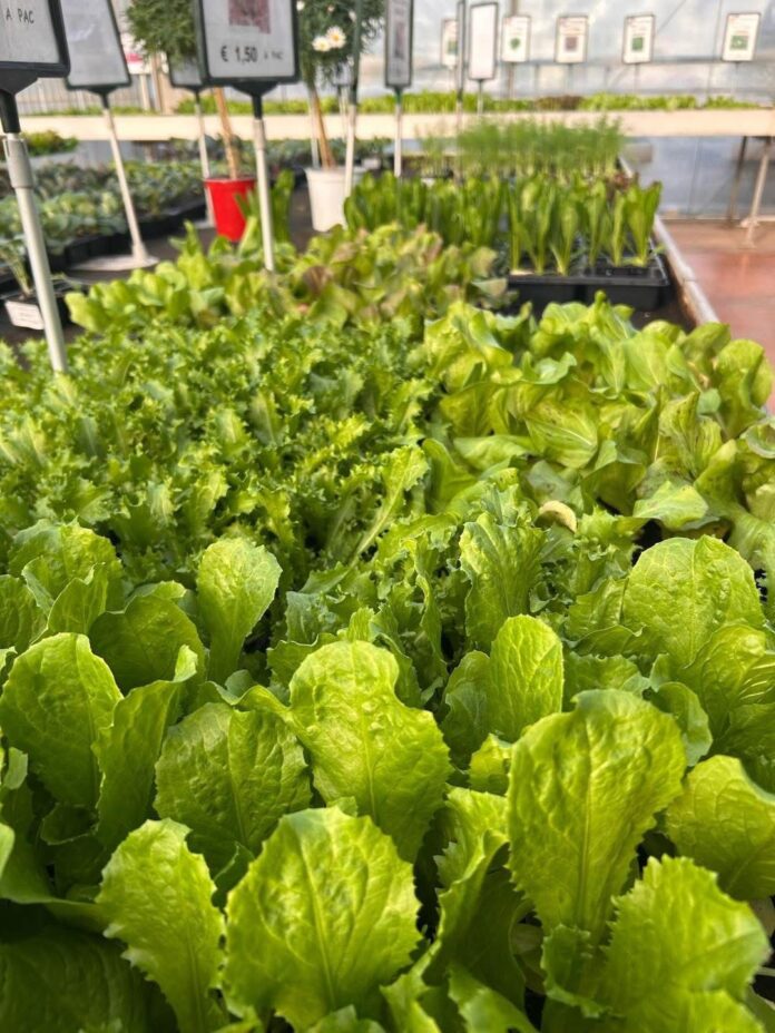 WhatsApp Image 2026-04-03 at 06.56.56