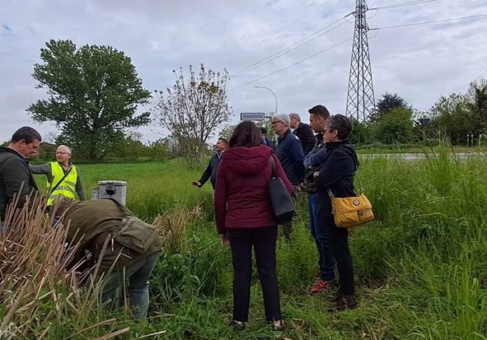 WhatsApp-Image-2026-04-14-at-15.30.29-1-aspect-ratio-535-375