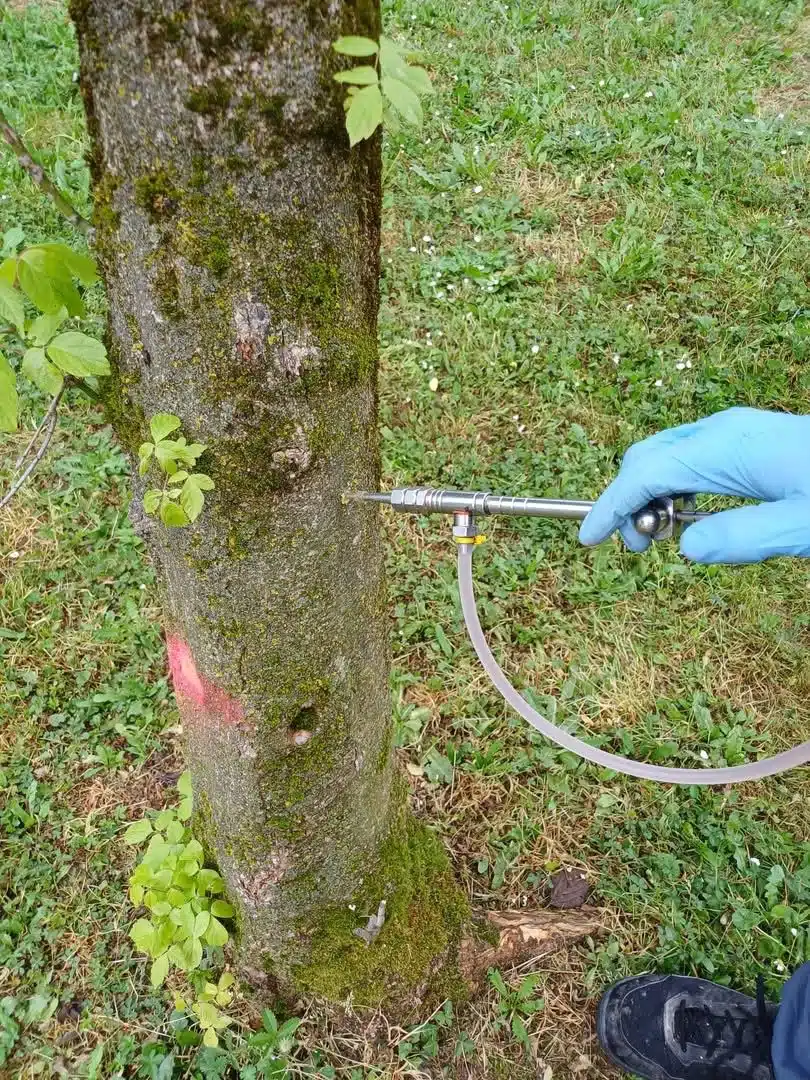 WhatsApp Image 2026-04-16 at 17.25.43 (1)