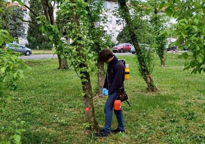 WhatsApp-Image-2026-04-16-at-17.25.43-aspect-ratio-535-375