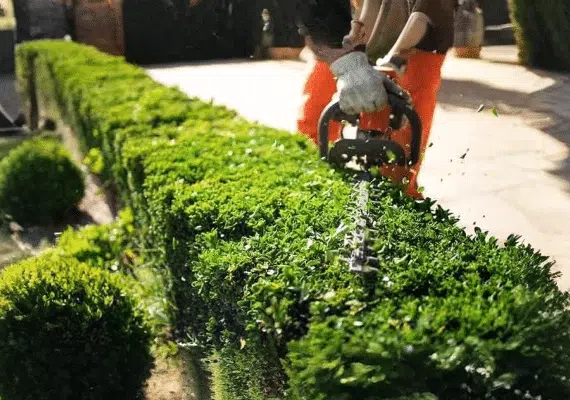 amga-aspect-ratio-535-375