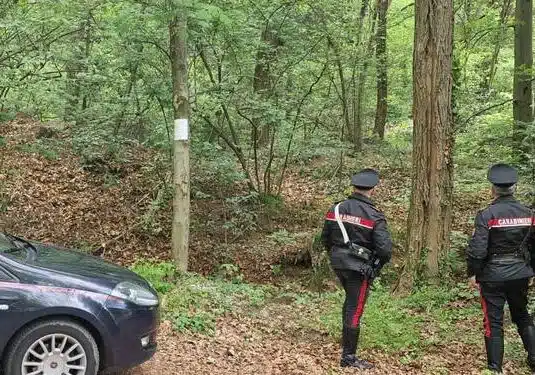 bol-aspect-ratio-535-375