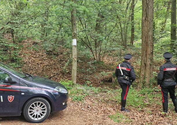 Bollate, cadavere di un uomo di 35 anni rinvenuto nel bosco