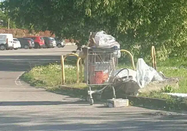 carrello-aspect-ratio-535-375