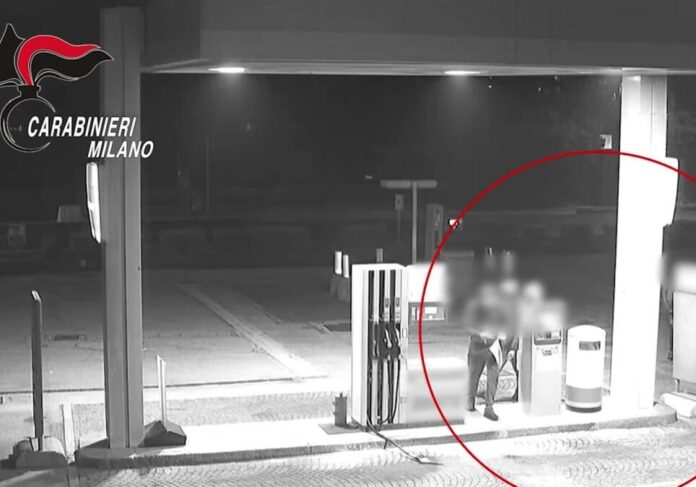 molt-aspect-ratio-535-375