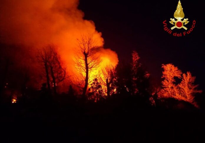 mom-scaled-aspect-ratio-535-375