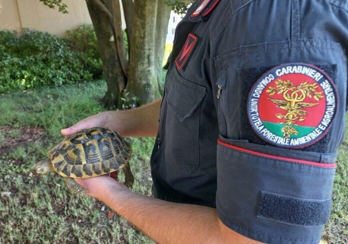 rest-aspect-ratio-535-375