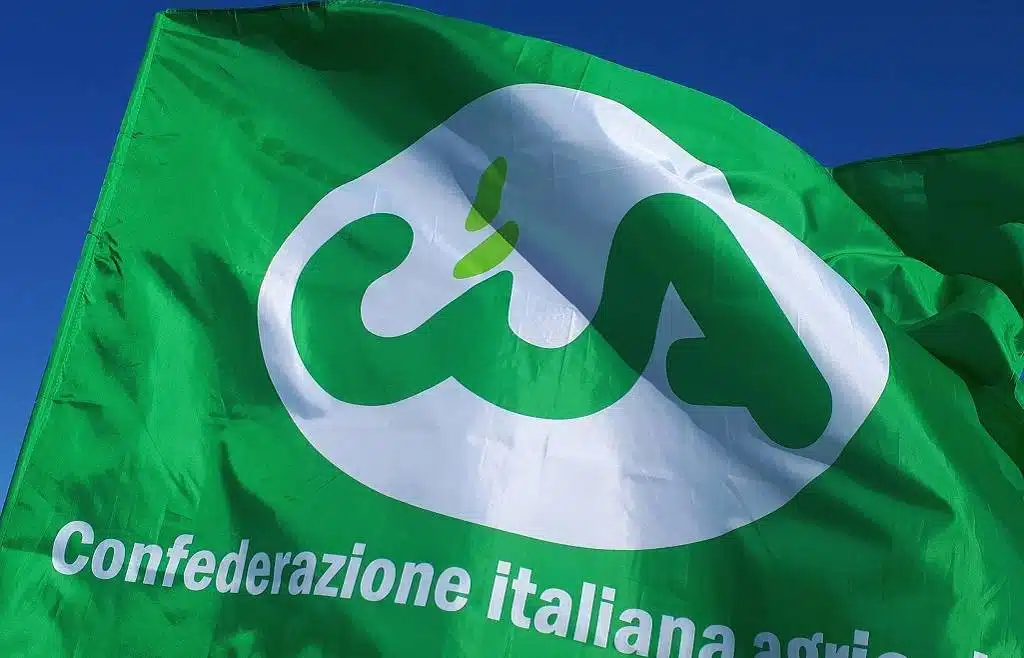 bandiera-CIA-1024x658