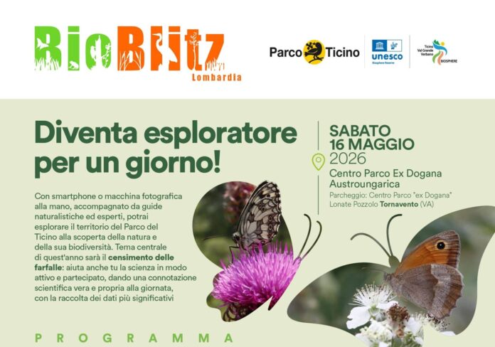 post-bioblitz-scaled-1-aspect-ratio-535-375