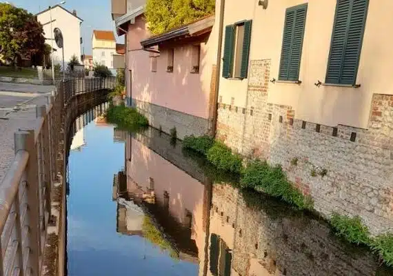 ROGGIA-aspect-ratio-535-375