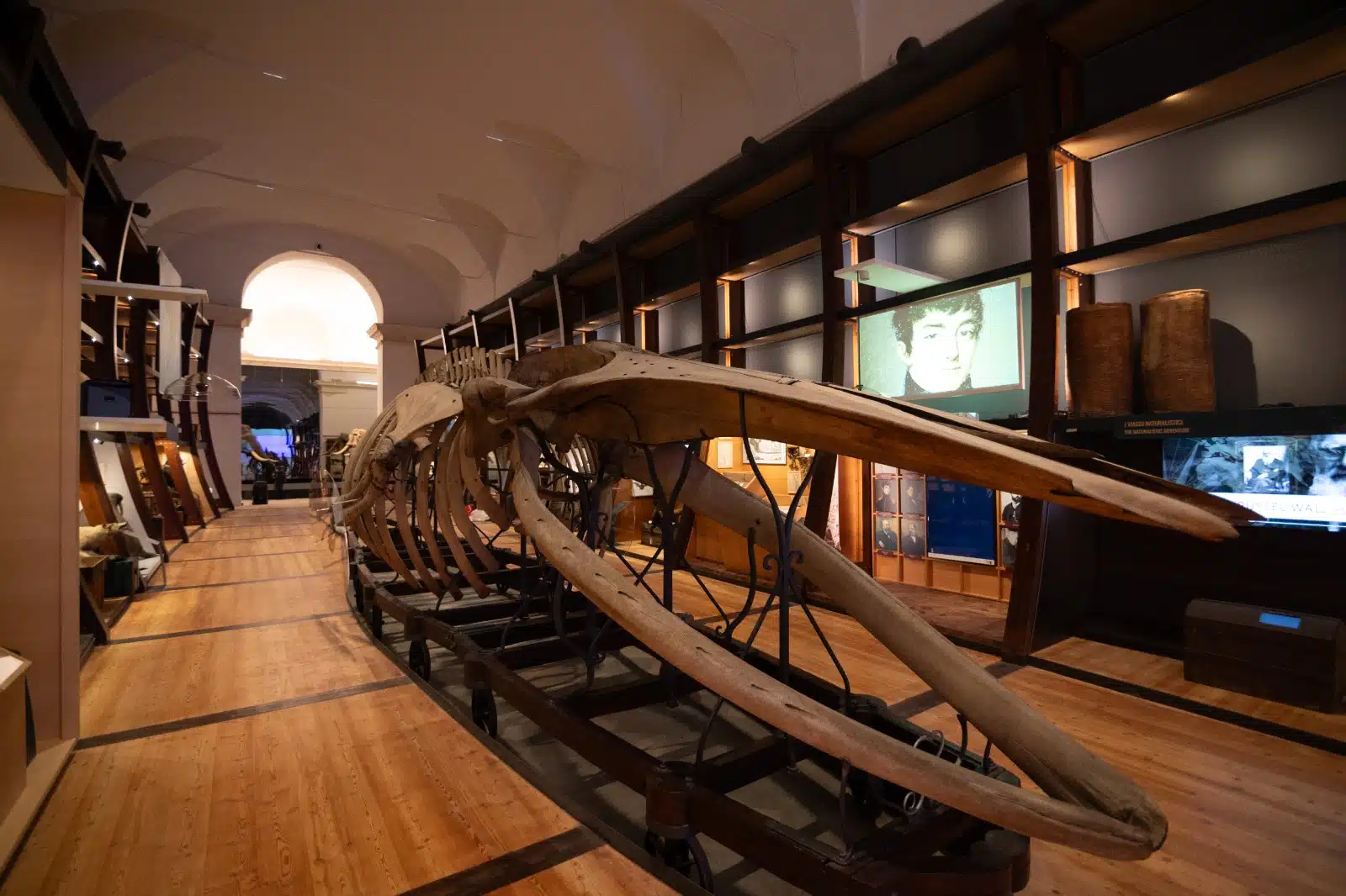 Museo delle Scienze Naturali
