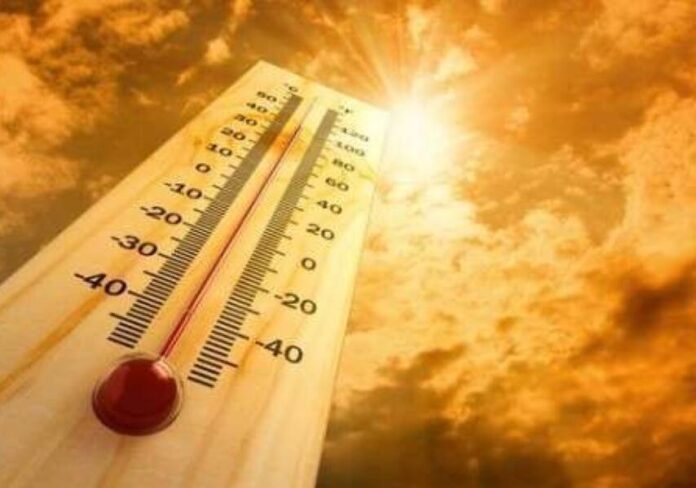 caldo-aspect-ratio-535-375
