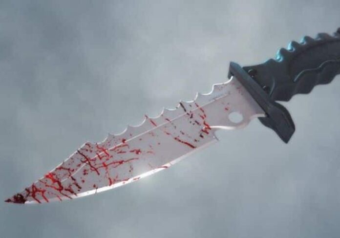 coltello-aspect-ratio-535-375
