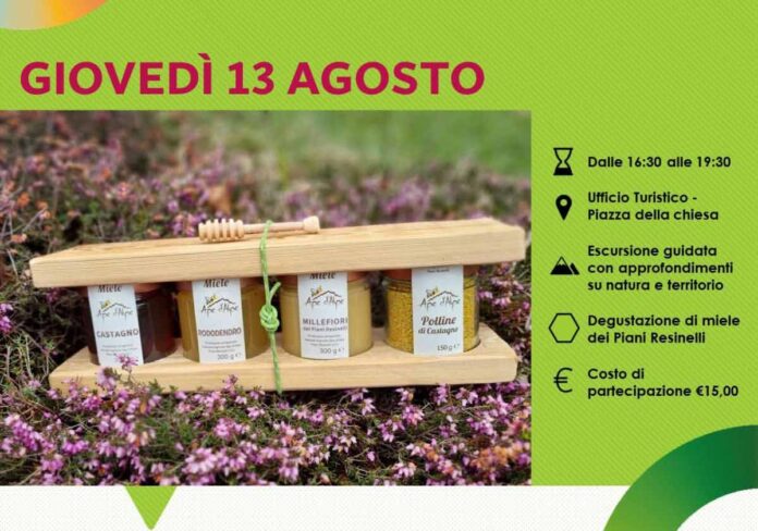 8557_Resinelli_anello_Campelli_miele_Locandina-aspect-ratio-535-375