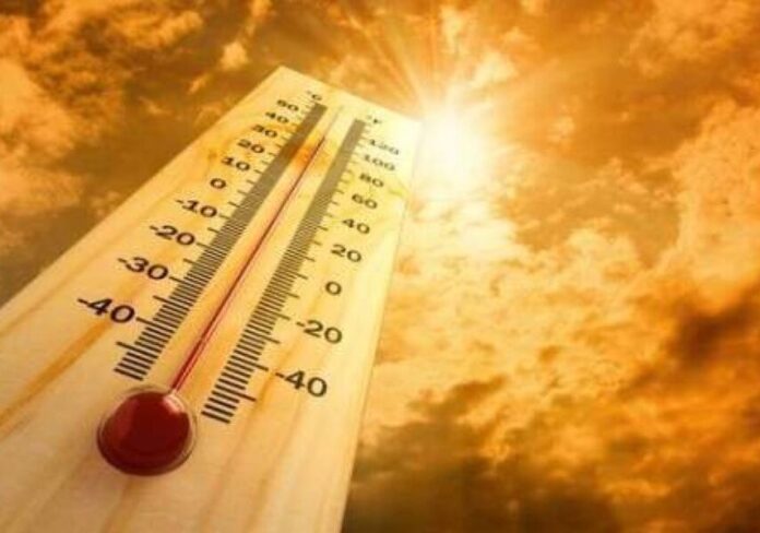 caldo-aspect-ratio-535-375